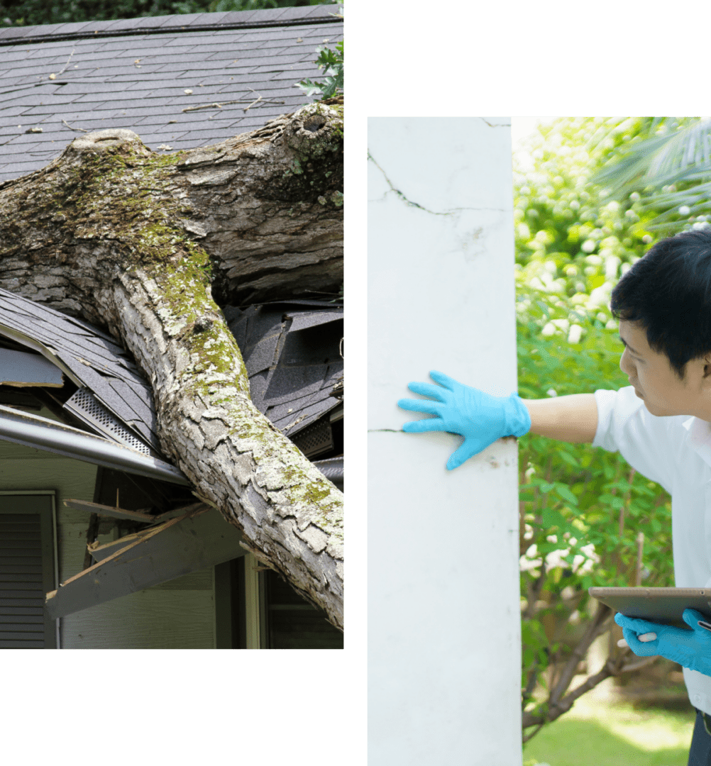 Fallen tree on roof; man inspecting damage.
