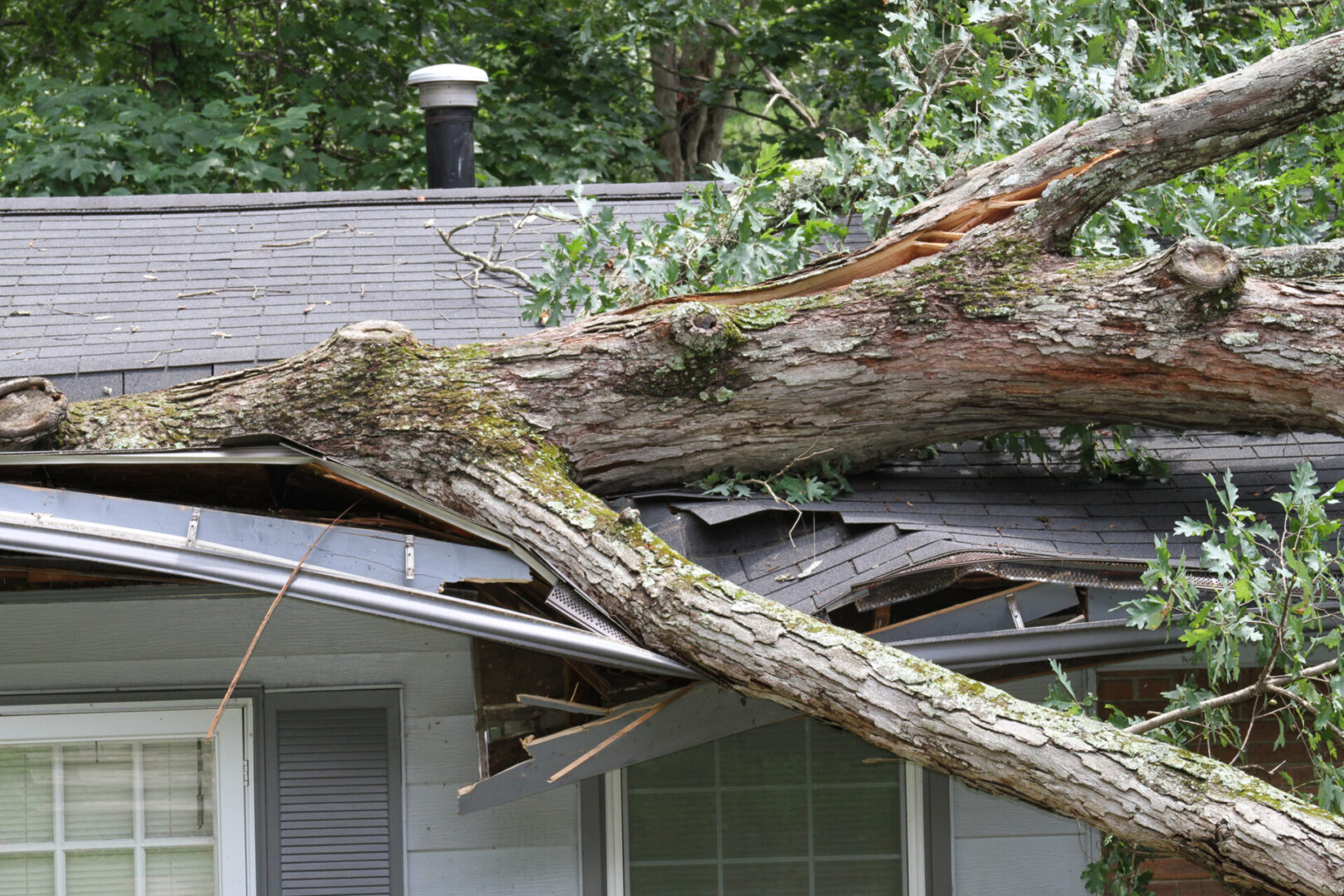Tree fallen on house roof causing damage.