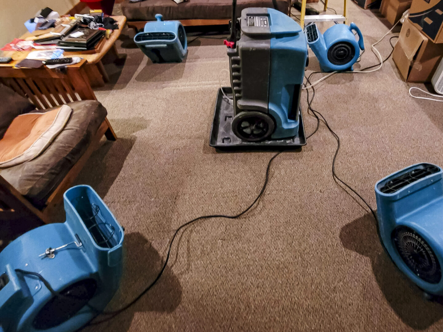 Blue industrial fans drying carpeted room.