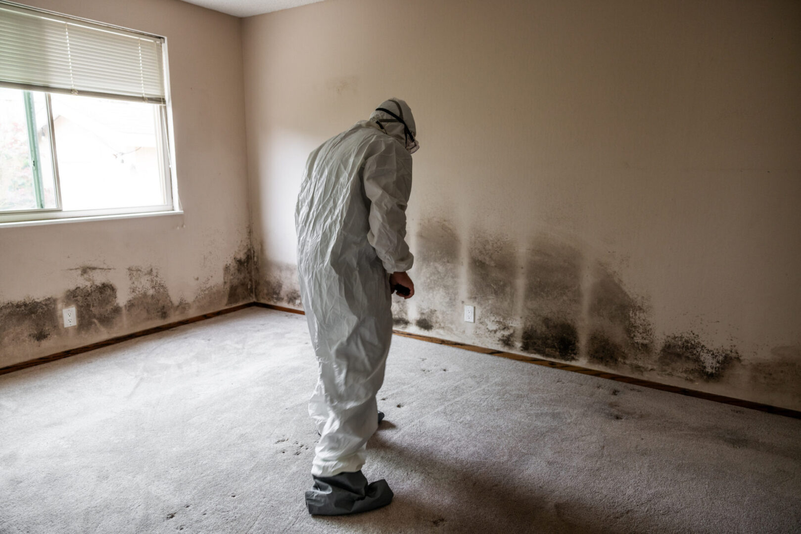 Person in protective suit inspecting moldy room.